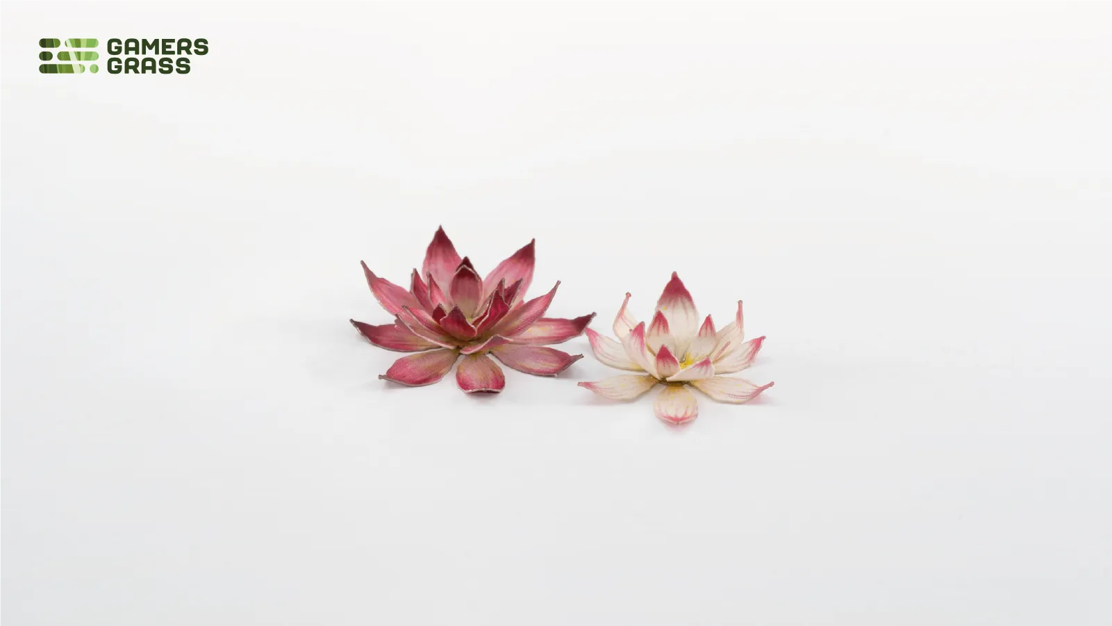 Gamers Grass | Laser Plants | Lotus Flower