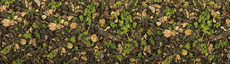 KRAUTCOVER BASECOVER