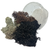 MOOS Desert Set | MOOS | Base X Terrain