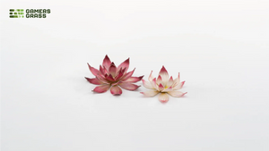 Gamers Grass | Laser Plants | Lotus Flower