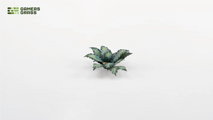 Gamers Grass | Laser Plants | Blue Agave