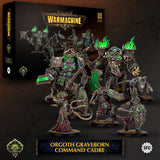 Warmachine: Orgoth Graveborn Command Cadre