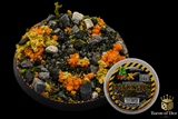 Lost Kingdom | Basecover | Base X Terrain