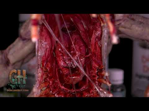 Dirty Down | Basing and Model Effects | Gore
