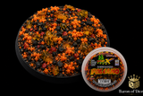 Volcano | UV Effect | Basecover | Base X Terrain